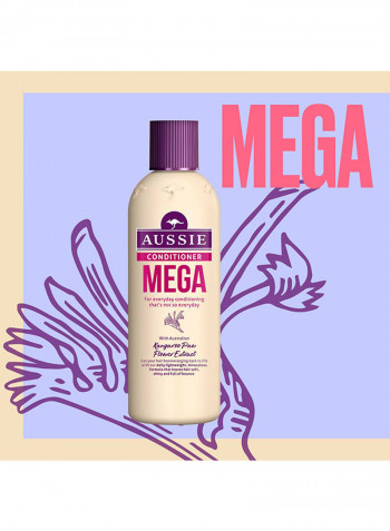 Paraben Free Mega Conditioner For Hair That Needs Volume Every Day 250مل