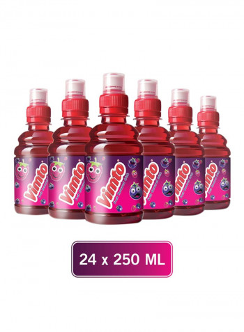 Fruit Flavour Drink 250ml Pack of 24