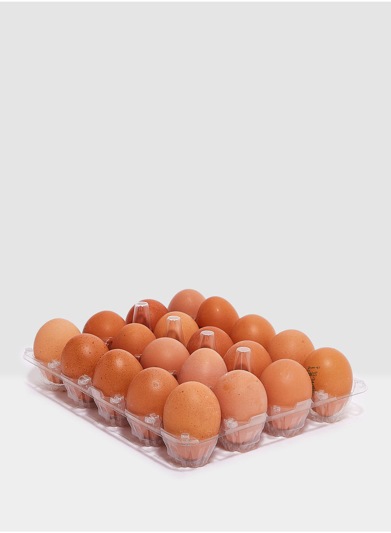 DHA Omega-3 Brown Eggs 50g Pack of 20