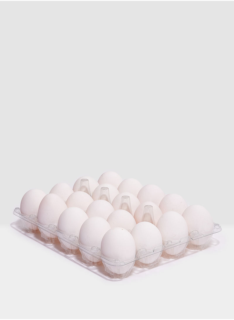 DHA Omega-3 White Eggs 50g Pack of 20