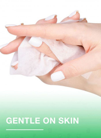 5 Packs Original Anti-Bacterial Skin Wipes