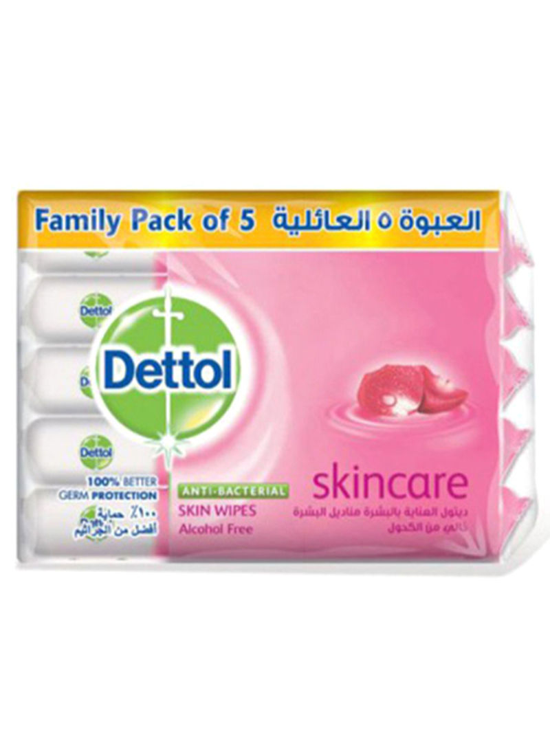 5 Packs Skincare Anti-Bacterial Skin Wipes