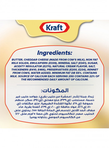 Cheddar Cheese Spread Original Jar 870g