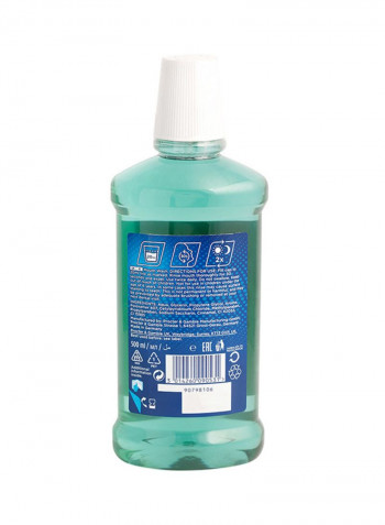 Professional Expert Protection Mouthwash 500ml