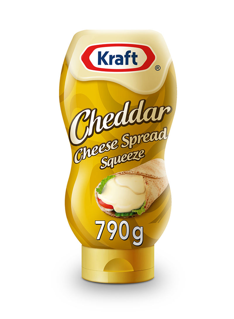 Cheddar Cheese Spread Original 790g - Squeeze