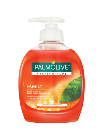 Hygiene Plus Family Hand Wash 300ml