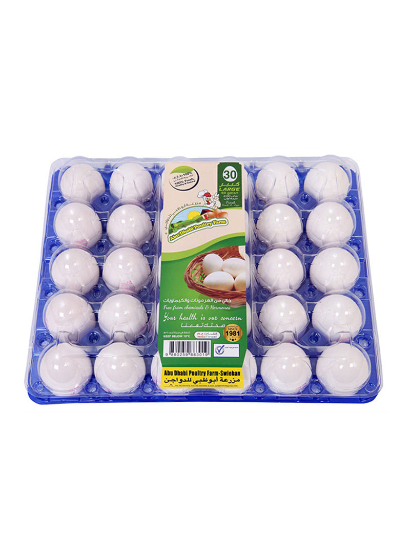 White Eggs Large Pack of 30