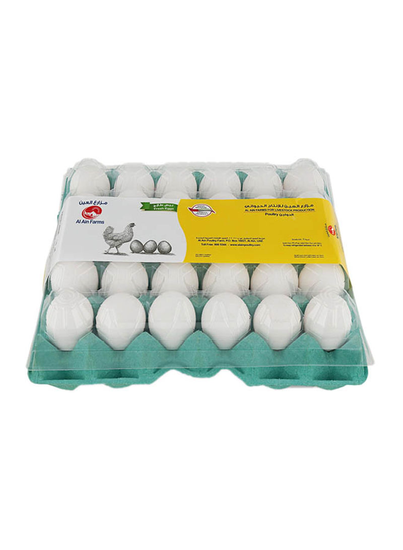 White Eggs X-Large 30 Pieces