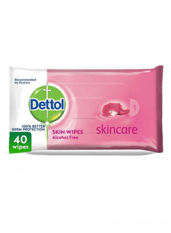 Skincare Antibacterial Skin Wipes 40 Wipes