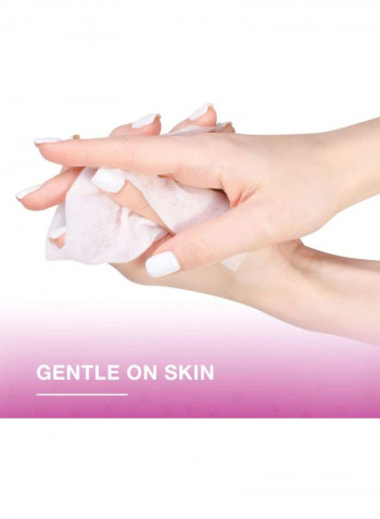Skincare Antibacterial Skin Wipes 40 Wipes