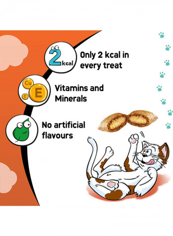 Chicken Cat Treats Pouch 60g Pack of 6