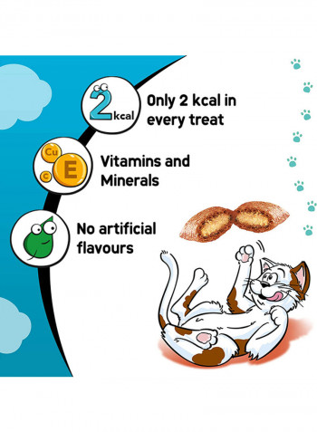 Salmon Cat Treats Pouch 60g Pack of 6