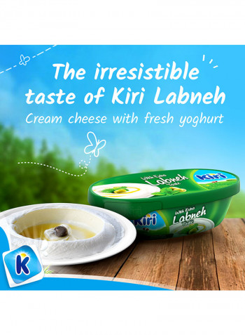 Cheese Spread With Extra Labneh Taste (Tub) 500g