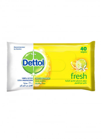 Fresh Anti-Bacterial Skin Wipes 40 Count