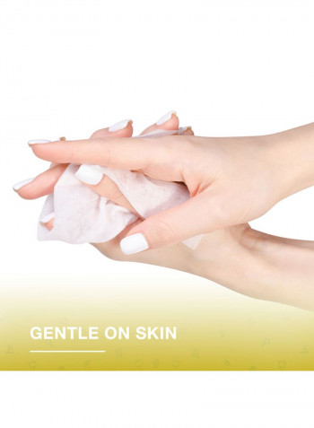Fresh Anti-Bacterial Skin Wipes 40 Count