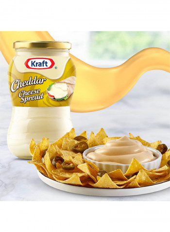 Cheddar Cheese Spread Original Jar 480g