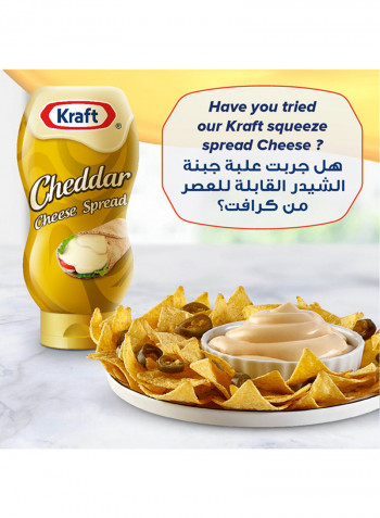 Cheddar Cheese Spread Original Jar 480g