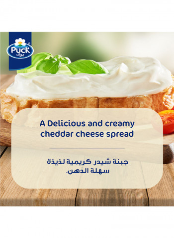 Cheddar Cream Cheese Spread Jar 500g