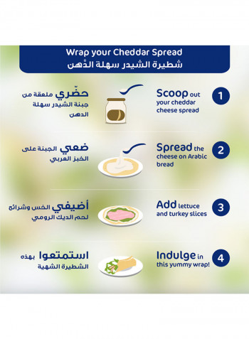 Cheddar Cream Cheese Spread Jar 500g