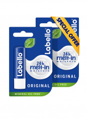 Moisturizing Lip Balm Original With Shea Butter 4.8g  Pack of 2