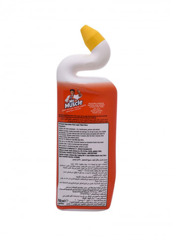 Duck Citrus Toilet Cleaner - Citrus 750ml