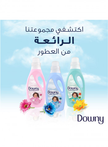 Fabric Softener Dream Garden 2L