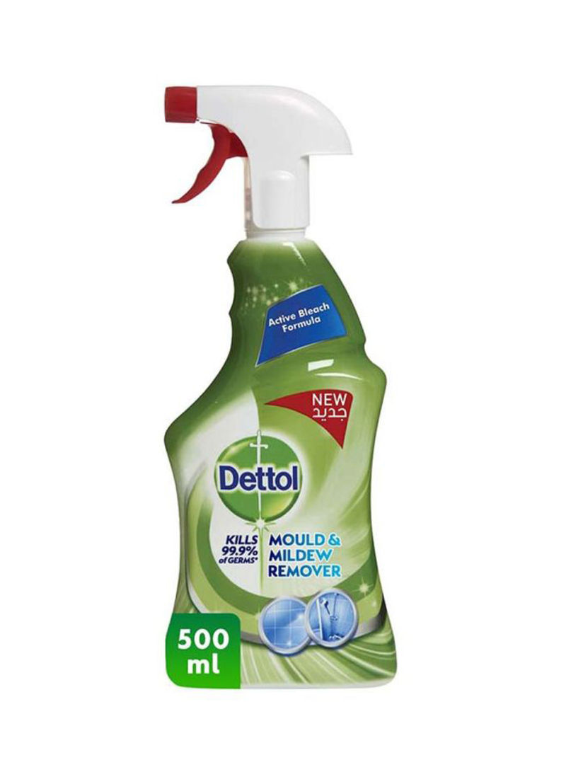 Mould And Mildew Remover 500ml