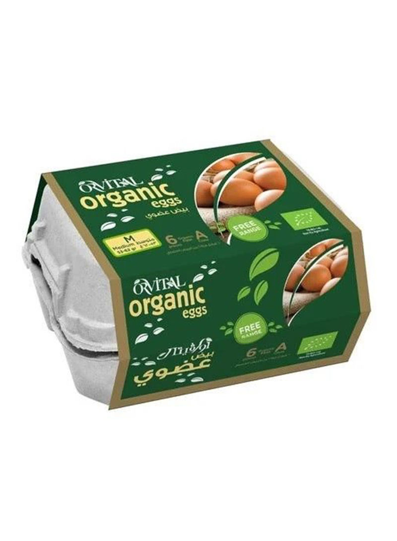 Organic Free Range Eggs Pack of 6