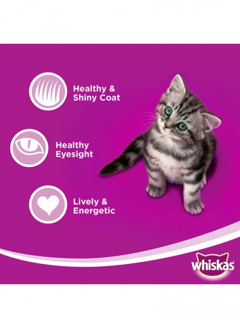 Ocean Fish Flavour Cat Food Junior 2-12 Months 1.1kg