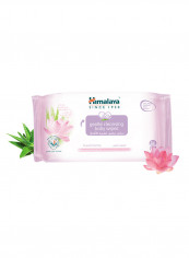 Gentle Cleansing Baby Wipes - No Alcohol, No Parabens - 56Pcs