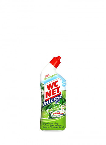 Toilet Cleaner Intense Gel - Lime Fresh 750ml