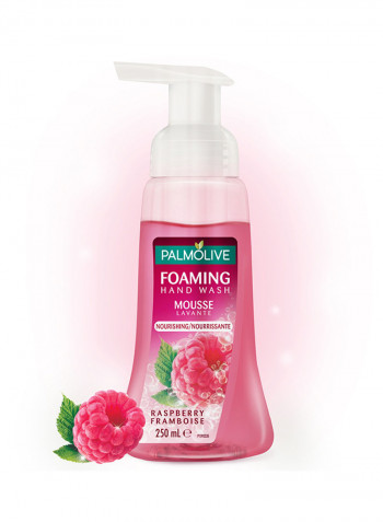 Raspberry Foaming Hand Wash 250ml