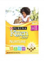 Kitten Chow Dry Food 510g