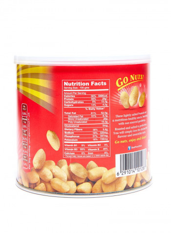 Salted Peanuts 300g