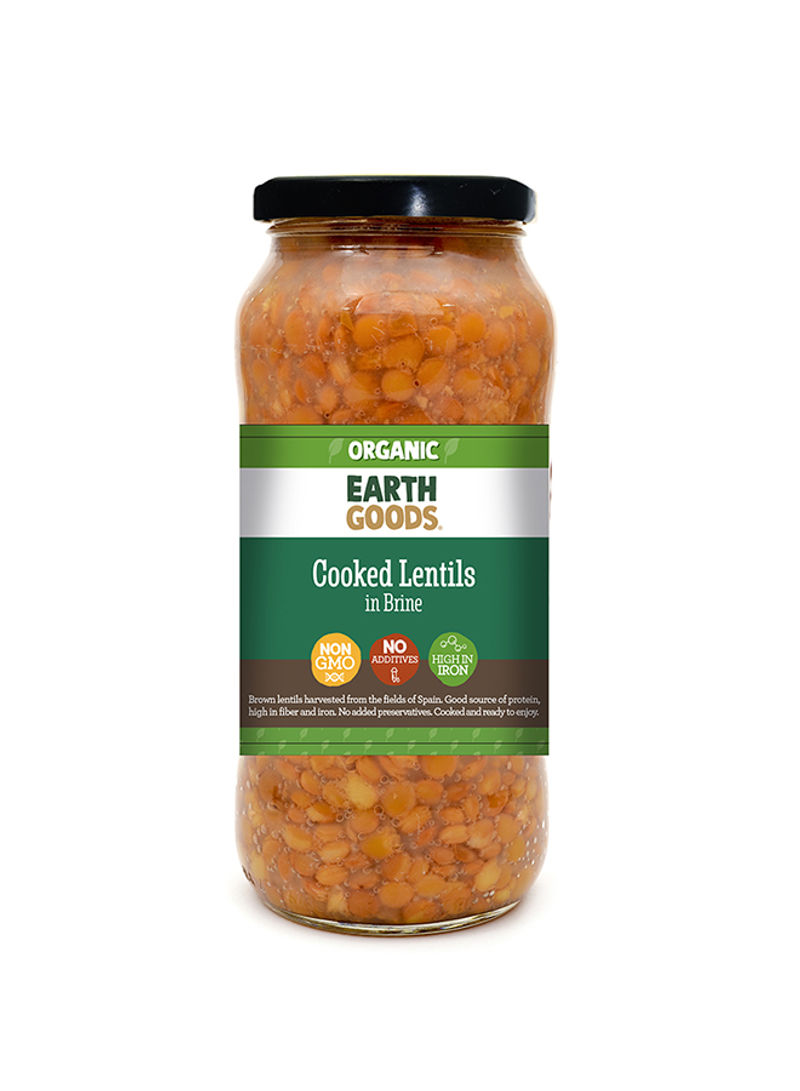 Organic Cooked Lentils in Brine 540g