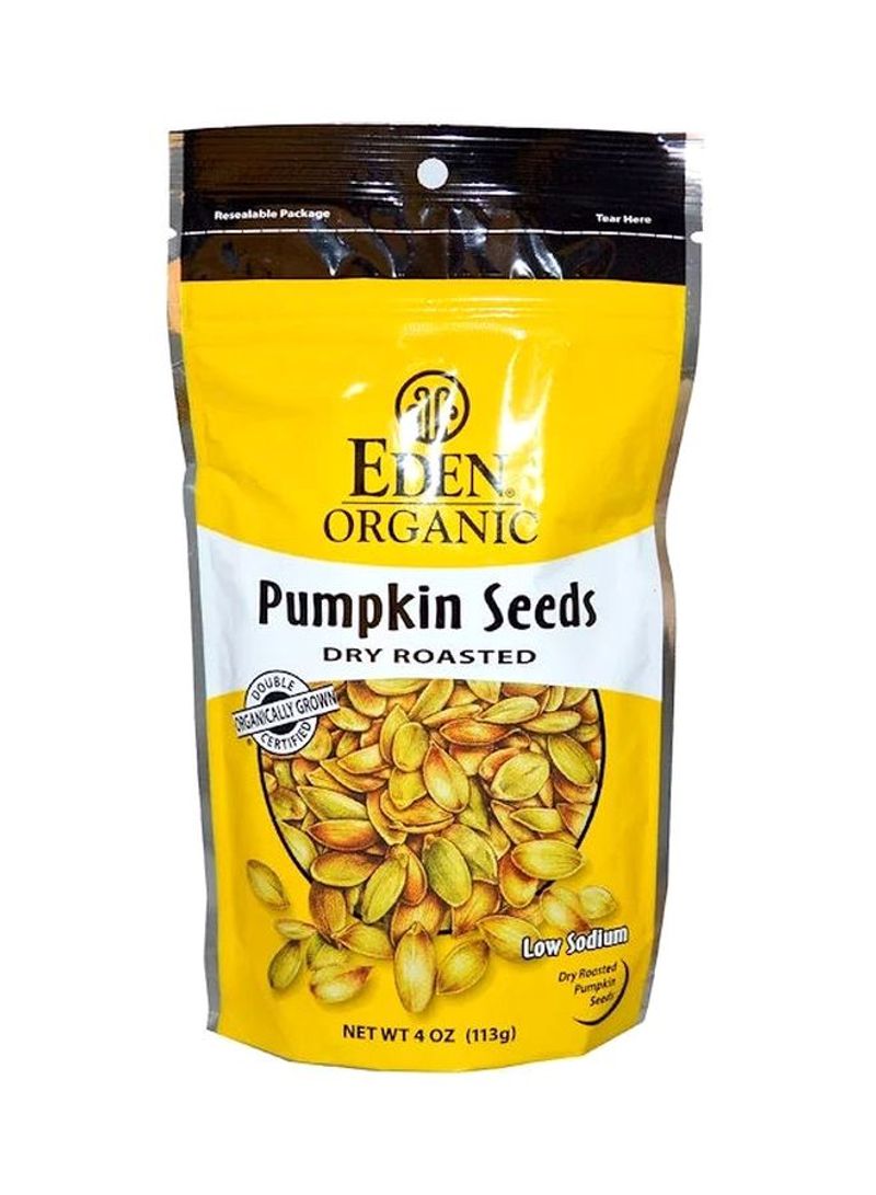 Dry Roasted Pumpkin Seeds 113g