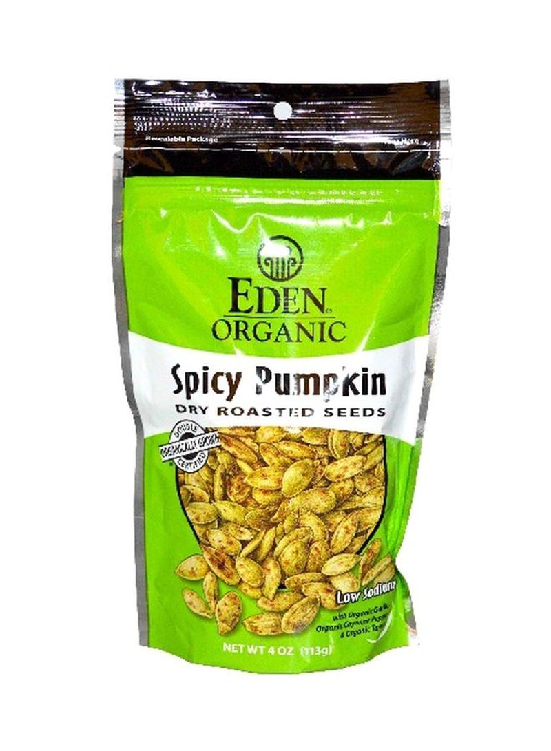 Spicy Pumpkin Dry Roasted Seeds 113g