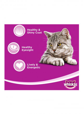 Ocean Fish Dry Cat Food Adult 1+ years 480g