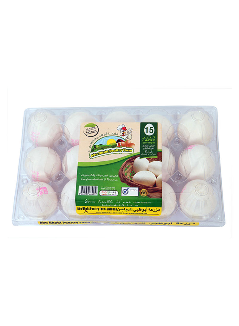 White Eggs Large Pack of 15