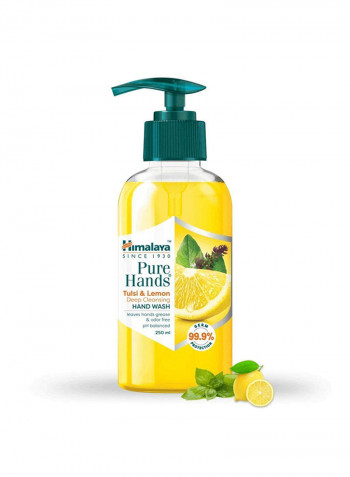 Anti–Bacterial Hand Wash 250ml