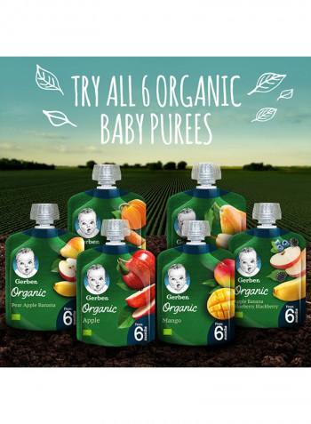 Organic Apple, Banana, Blueberry Blackberry Baby Food 90g