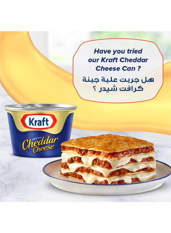 Cheese Slices Light 200g