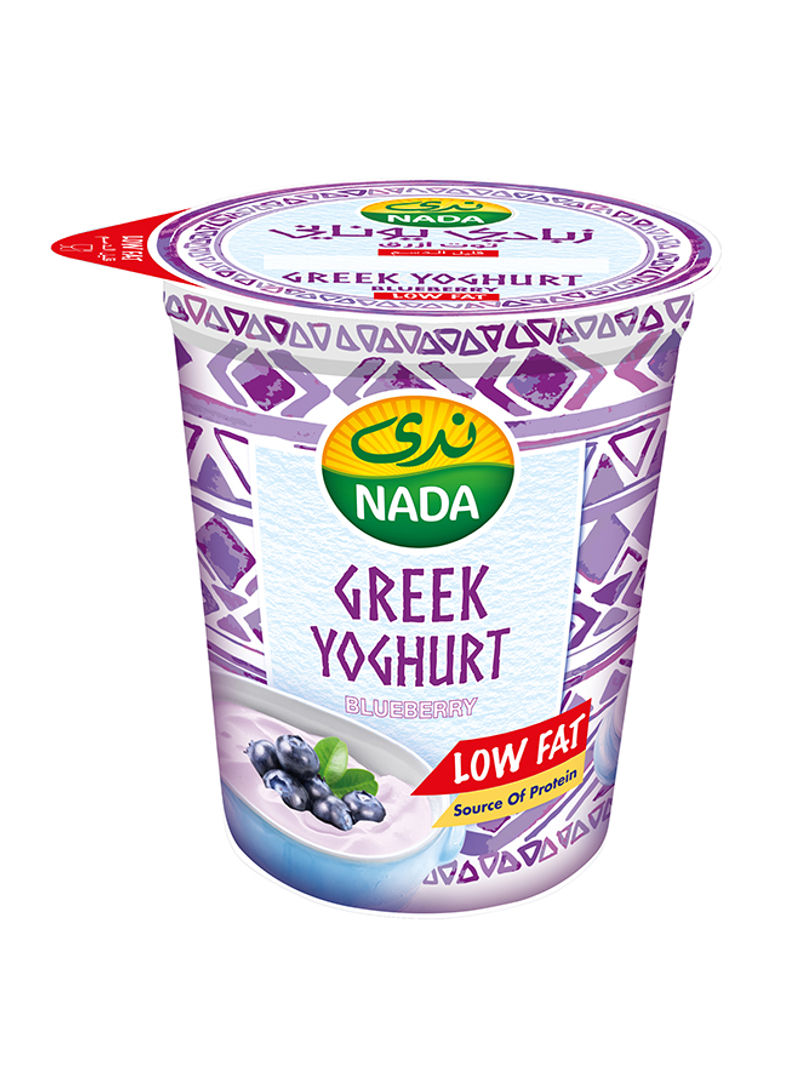 Greek Yogurt Blueberry Low Fat 360g