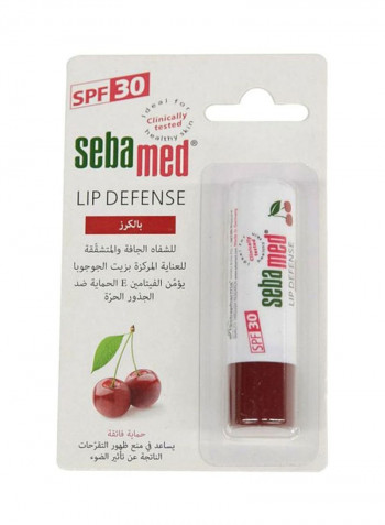 Lip Defence Cream 4.8g