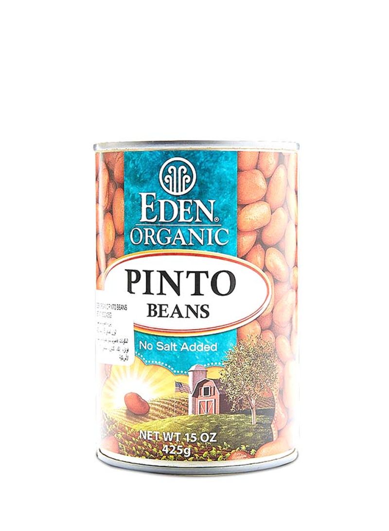 Pinto Beans 425g