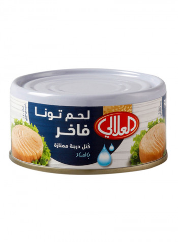 Fancy Meat Tuna In Water 170g
