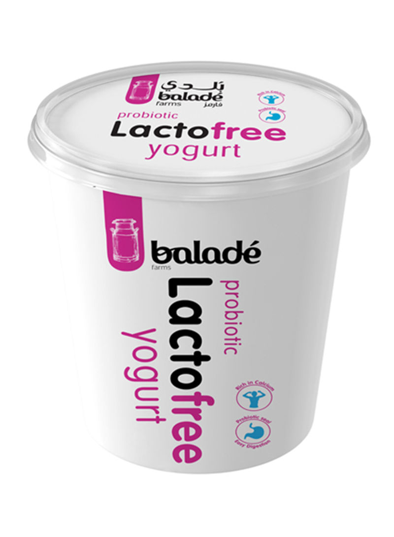 Lactofree Yogurt 450g