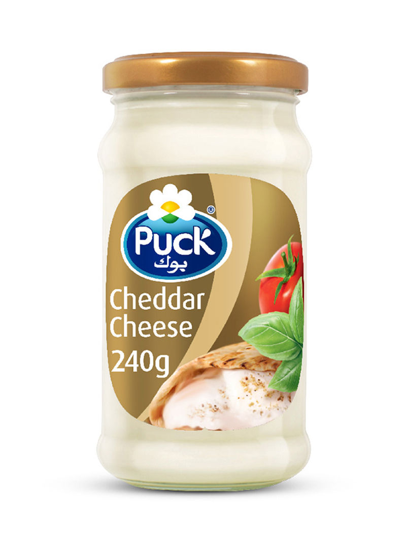 Cheddar Cream Cheese Spread Jar 240g