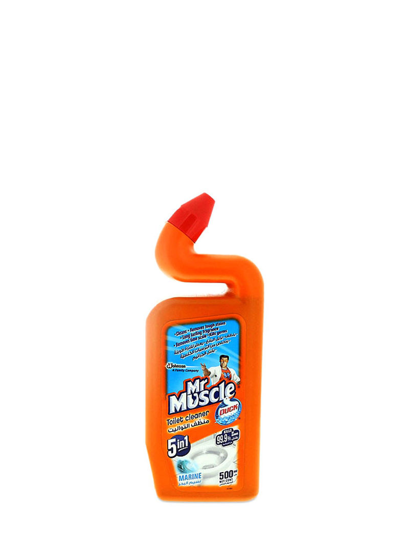 5-In-1 Marine Toilet Cleaner Clear 500ml