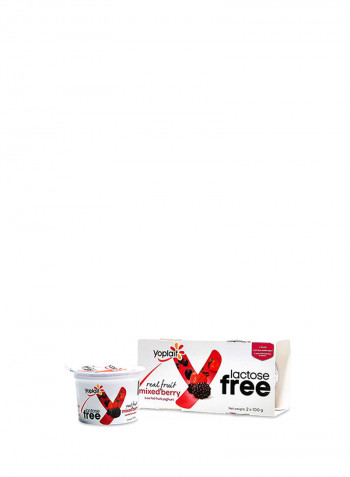 Mixed Berry Yogurt 100g Pack of 2